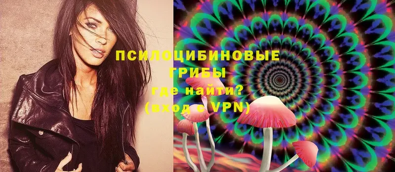 shop состав  Пермь  Галлюциногенные грибы Magic Shrooms 