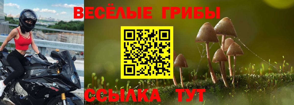 Пермь  Галлюциногенные грибы Psilocybine cubensis  Вход с VPN 