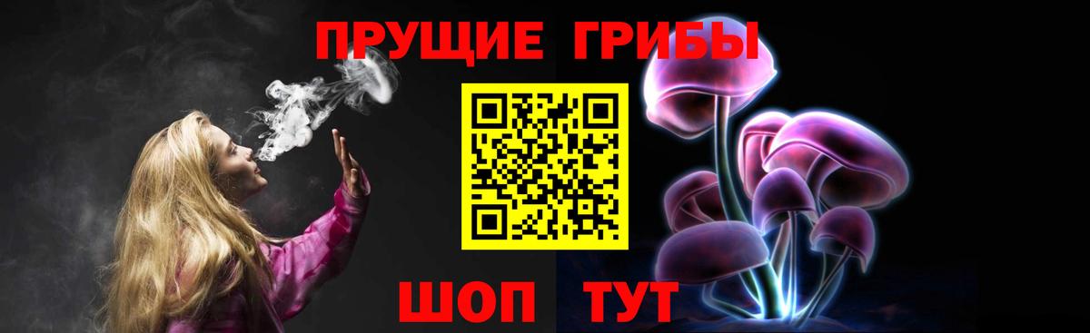 Галлюциногенные грибы Psilocybine cubensis Пермь